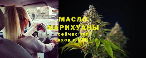 индика Кинешма