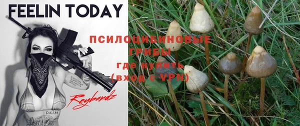 соль ск Абдулино