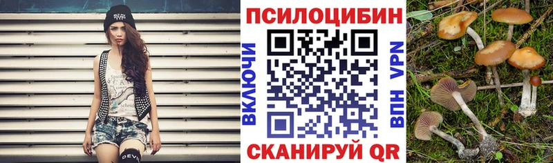 Псилоцибиновые грибы Psilocybine cubensis  что такое   Агидель 